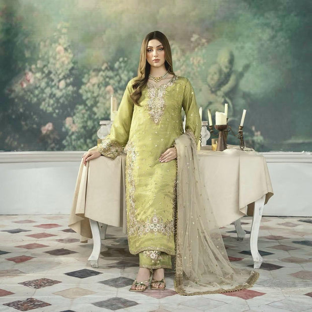 Stunning Sequence Work Perrot Color Palazzo Suit